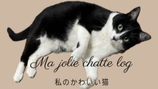 猫との暮らしーMa jolie chatteー